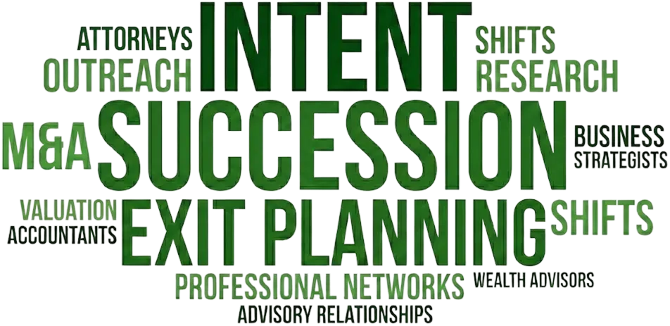 word cloud, words relating to early business succession planning signals and advisors